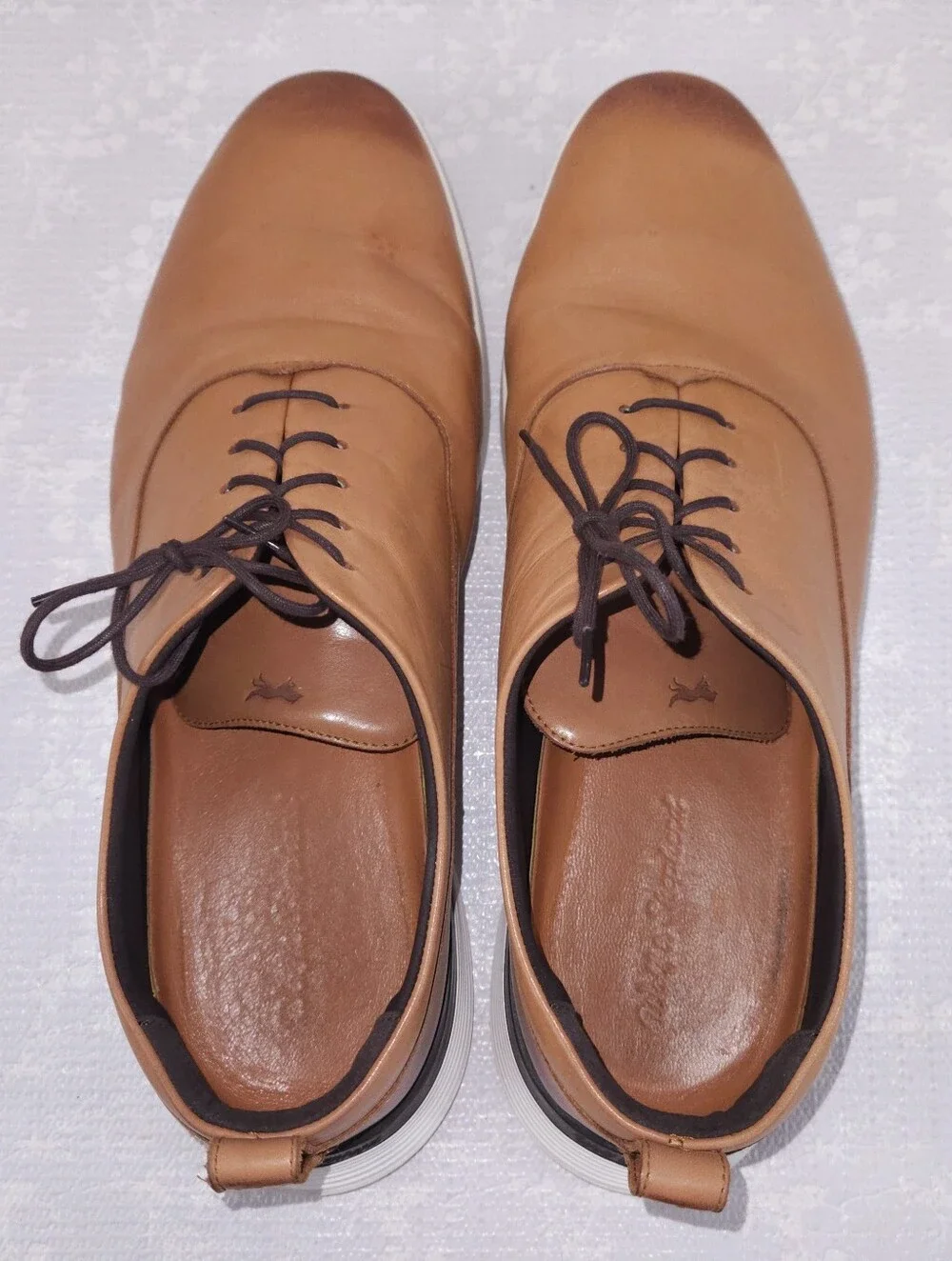 Wolf & Shepherd Crossover Longwing Oxford US 14